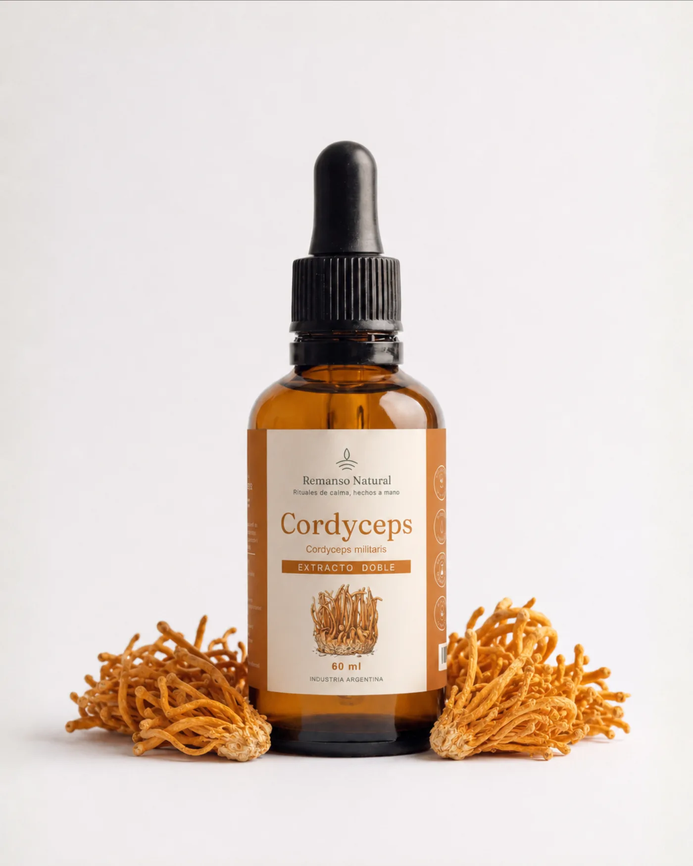 Doble Extracto de Cordyceps Militaris